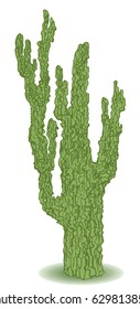 Green cactus illustration, based on manual artwork