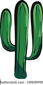 Green cactus, illustration, vector on a white background.