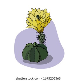 
green cactus with a large yellow flower on a purple background