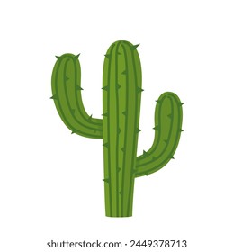 The green cactus on a rocky Texas soil isolated on white background. Vector illustration