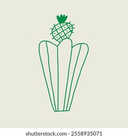 Green cactus with a pineapple accent, simplistic artistic style. Vector hand drawn line art illustration