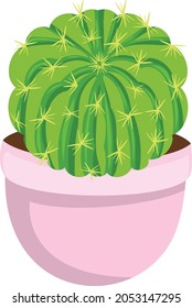 Green cactus in a pink vase