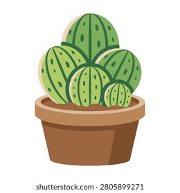 Green cactus plant in brown pot on white background closeup view