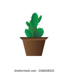 Green cactus plant in a clay pot