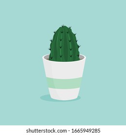 Green Cactus Plant on White Pot vector illustration in flat design style. Illustration of natural home room decor.