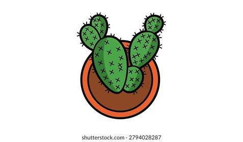 Green cactus plant in pot closeup