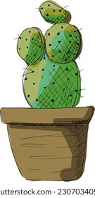 
green Cactus in a plant pot, isolated hand drawn painting illustration as eps vector