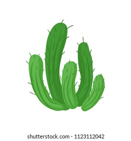 Green cactus plant vector Illustration on a white background