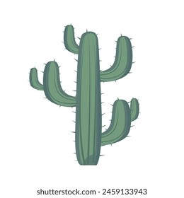 Green cactus plant vector illustration, tall cacti tree image isolated on white background