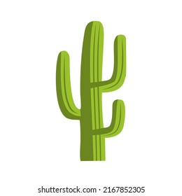 Green cactus plant. Vector image