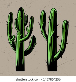 Green cactus plants concept in vintage style isolated vector illustration