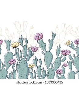 Green cactus plants with pink flowers vector border pattern on a white background. Vector illustration.