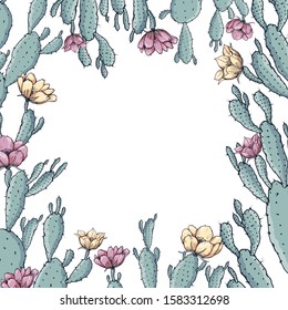 Green cactus plants with pink flowers frame on a white background. Vector illustration.