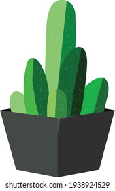 Un cactus verde en la olla