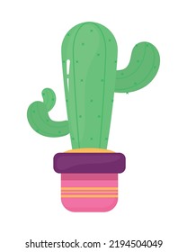 cactus verdes en una olla