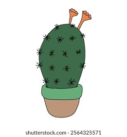 a green cactus in a pot