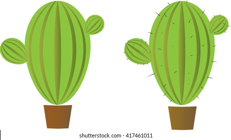 green cactus in a pot