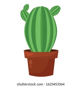 Green cactus pot, home garden botani houseplant, cacti decoration.