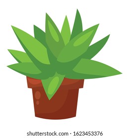 Green cactus pot, home garden botani houseplant, cacti decoration.