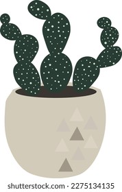 Green cactus pot home garden botanic houseplant