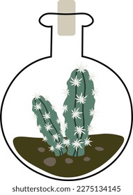 Green cactus pot home garden botanic houseplant