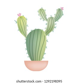 Green cactus in pot isolated on white backgound. Vector illustration.