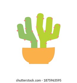 A Green Cactus In A Pot On White