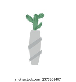 Green cactus in pot on white background