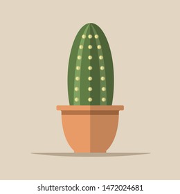 Green cactus in pot plant vector icon 
