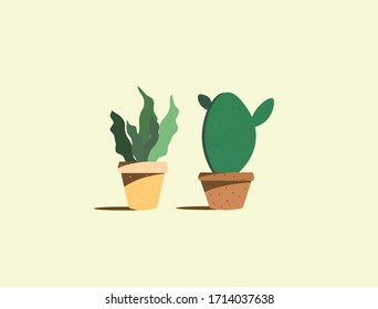 Green cactus in a pot , Summer garden natural decoration , Two pot of cute plant in summer time.