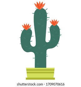 green cactus in a pot  vector design, cactus art and illustration isolated on white background