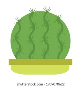 cactus verdes en un diseño vectorial de cactus, arte cactus e ilustración aislados en fondo blanco
