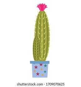green cactus in a pot  vector design, cactus art and illustration isolated on white background