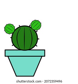 Green cactus, with purple, red, pink, yellow and green flowers, beautiful cacti, ornamental and decorative cactus.