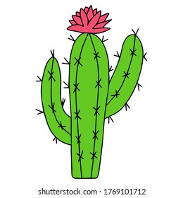 green cactus with red flower