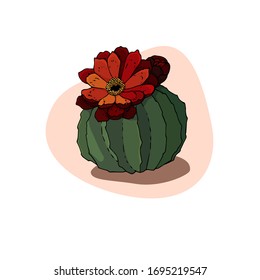
green cactus with a red flower and a bud