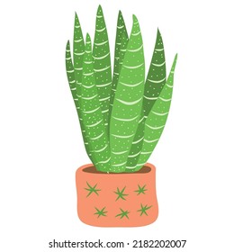 Green cactus in terracotta pot vector illustration