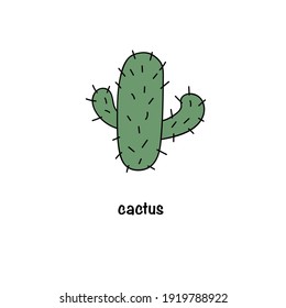 Cactus verde con espinas. Sobre un fondo blanco aislado. Por tu diseño. Ilustración del vector