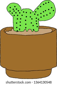 Green cactus trees in pots