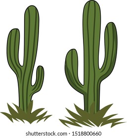 green cactus vector for decoration
