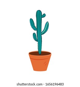 Green cactus vector design isolated on white background, cactus in the pot