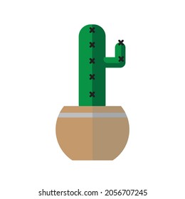 
green cactus vector was grown in a pot