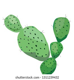 Green cactus. Vector illustration on white.