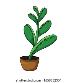 green cactus vector with outline 