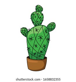 green cactus vector with outline 