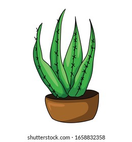 green cactus vector with outline 