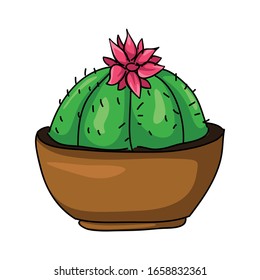 green cactus vector with outline 