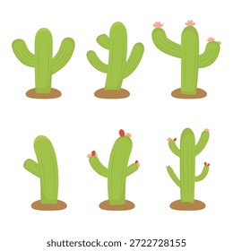 Green cactus vector set with flowers. Flat style isolated designs. Cartoon desert plants collection for summer themed projects, Mexican restaurant menus, gardening blogs, and cute nature stickers
