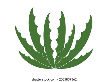 Green cactus vector silhouette, prickly succulent flat illustration, desert plant, aloe plant 