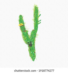 Green cactus vector sketch illustration 